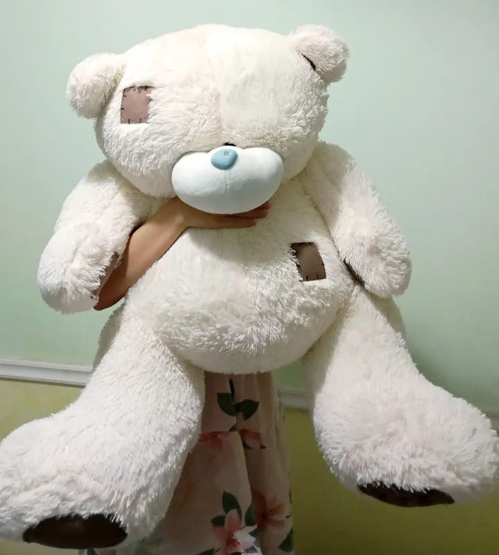 teddy