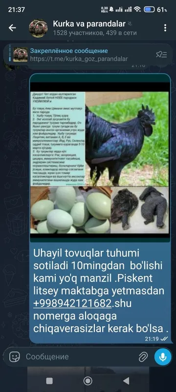 Uhayil tuhumlari bor bostirishga va istemol urug'langan ishonchlik ga — фото 1