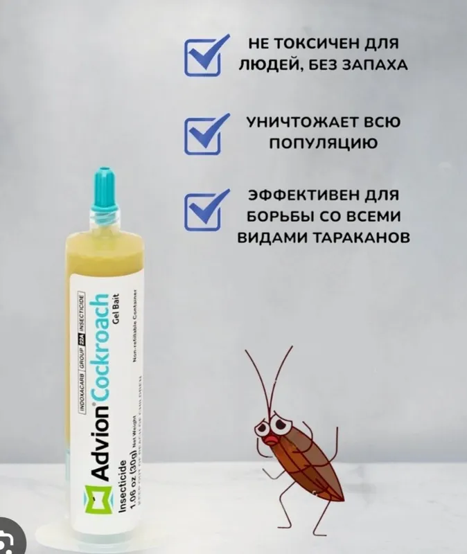 Таракан дори !!!