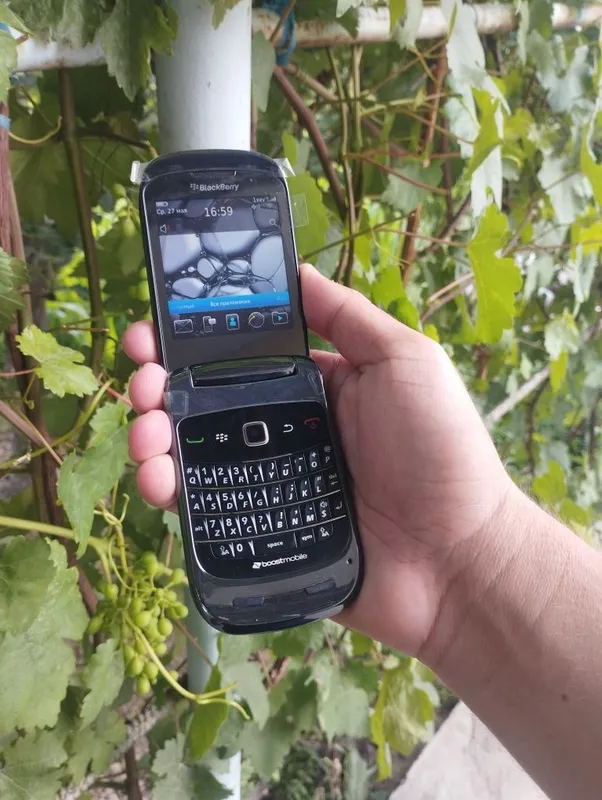 Blekberry 9670 cdma срочно продам — фото 1