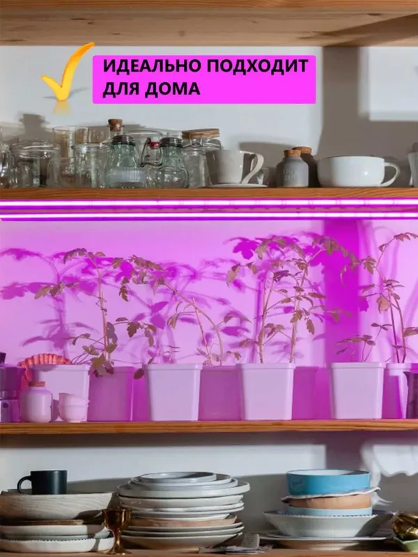 Фитолампа. Фитолента. Для растений, рассады. 1/3/5 метров. — фото 5 Фитолампа. Фитолента. Для растений, рассады. 1/3/5 метров. — фото 5