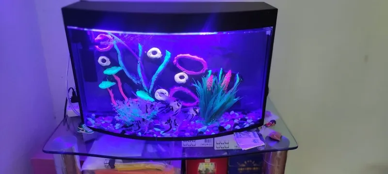 Akvarium sotiladi 2 Akvarium sotiladi 2