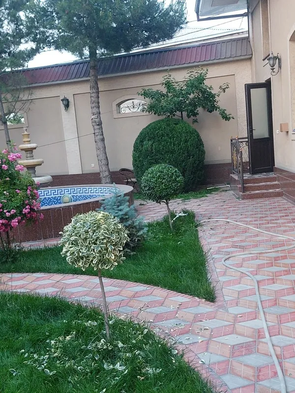 Archa va gullarga shakil berish xizmati — фото 2