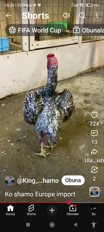 dakan olaman dakan olaman