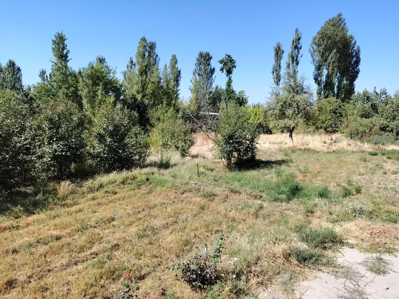 Yer sotildi uyimizni yarimi 10 sotig sotigi 10 ming kelishildi Yer sotildi uyimizni yarimi 10 sotig sotigi 10 ming kelishildi