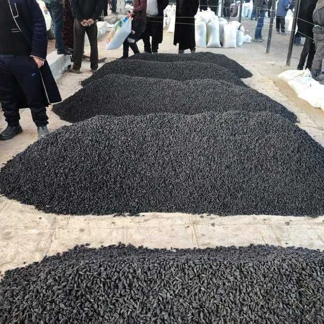 Qora kishmish mayizi sotiladi