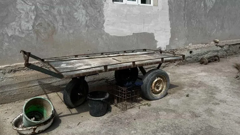 Такчи бар адрес Саранша — фото 1