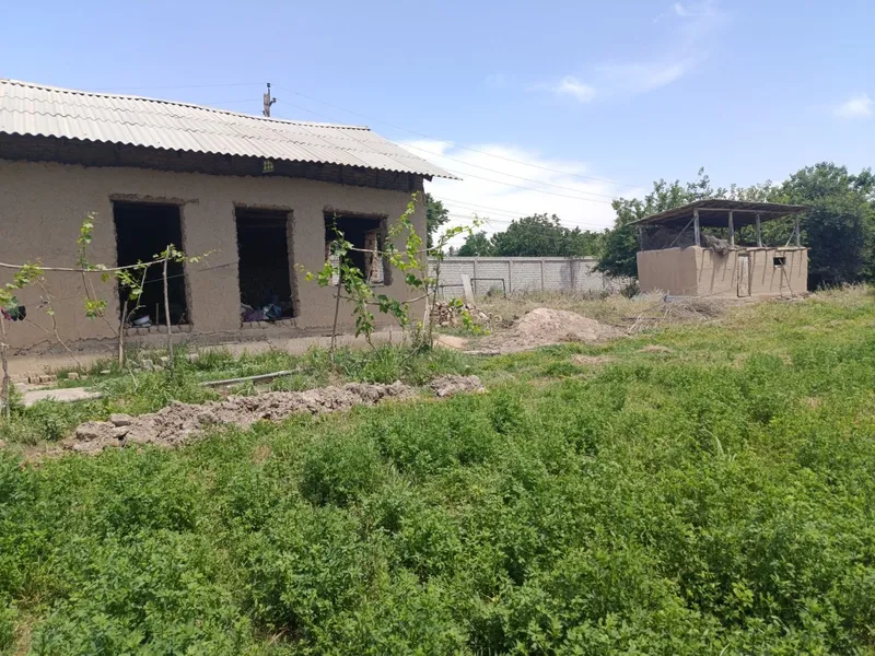 Toshkent dengizi atrofidan 30 soʻtxli kadastr xujatlariga ega xovli — фото 4