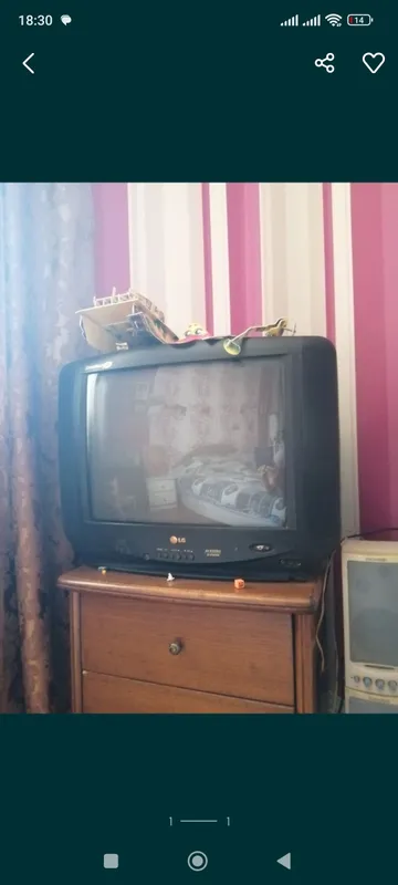 телевизор