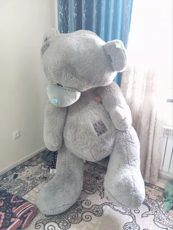Teddy