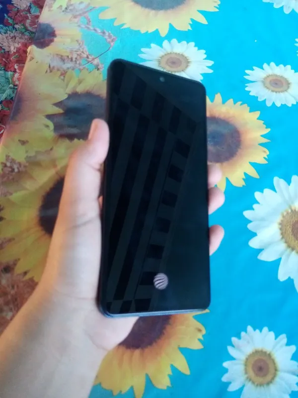 Vivo 4 Vivo 4