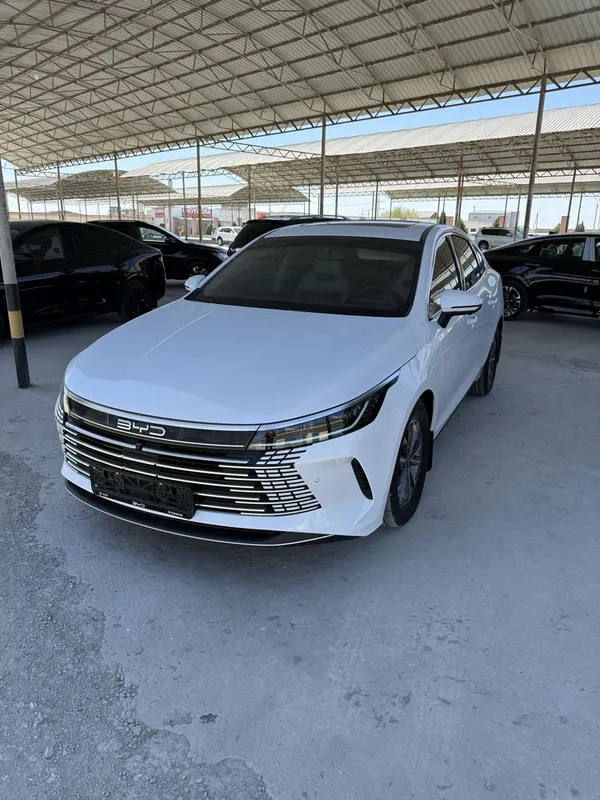 BYD chazor 2025 gibrid