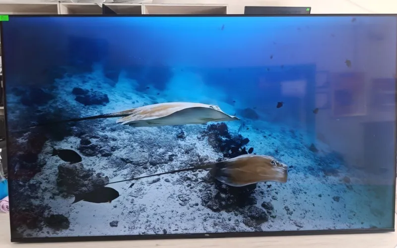 TCL 65P635 65" Smart TV — фото 1