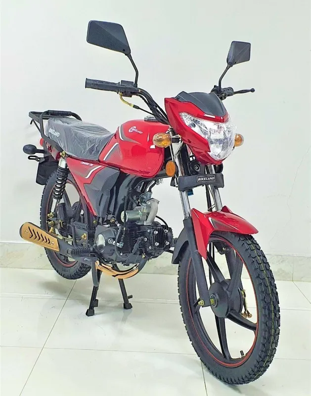 Moped Alpha Bikeland — фото 1