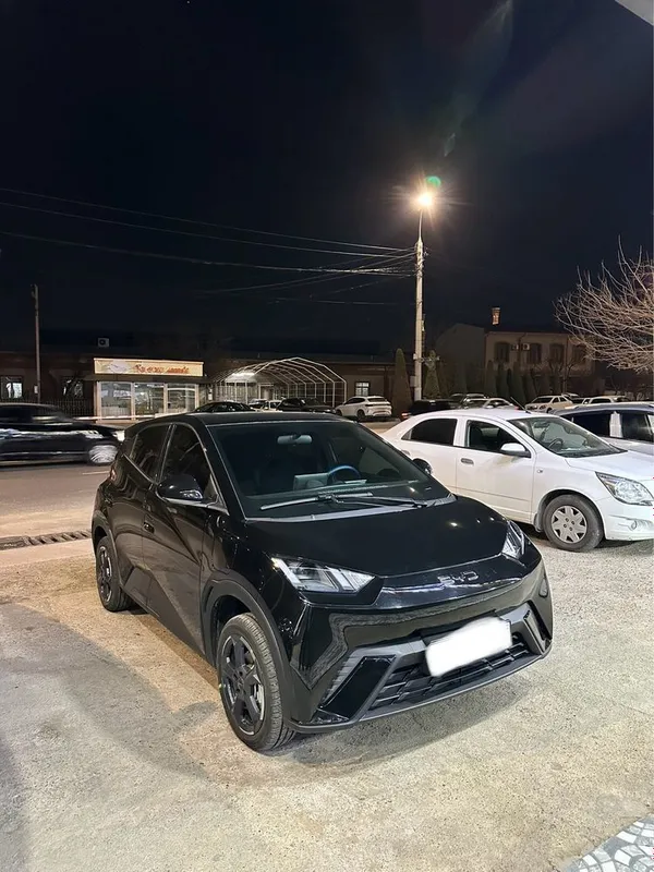 Byd seagull 2024 Byd seagull 2024