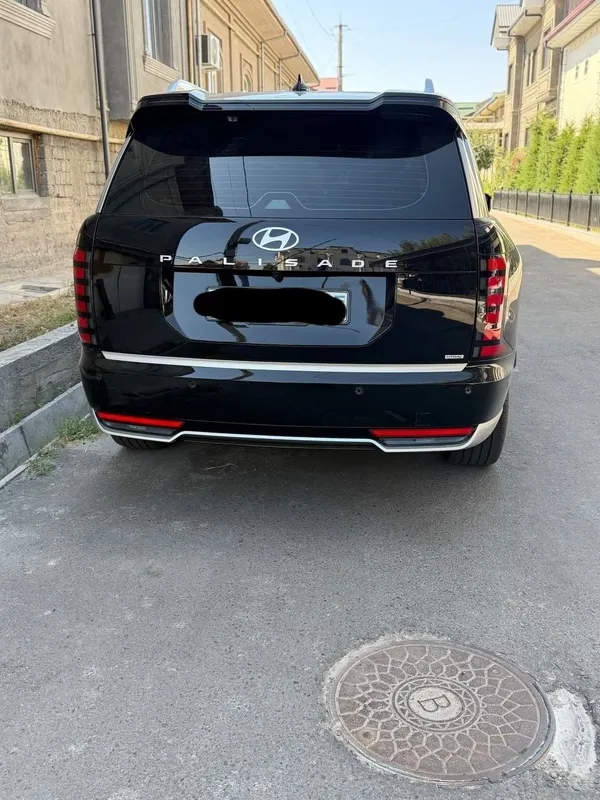 Hyundai palisade calligraphy full 1