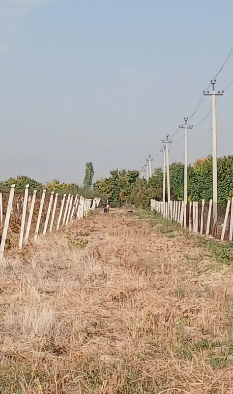 Beton ustunlar, temir ustunlar, tros, yevro ratchetlar, temir to‘r 2