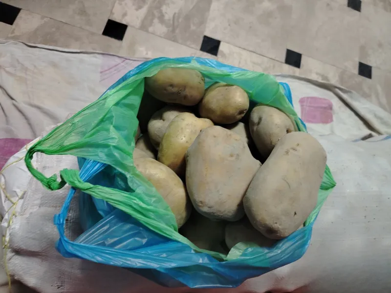 Картошка арзон нархда Картошка арзон нархда