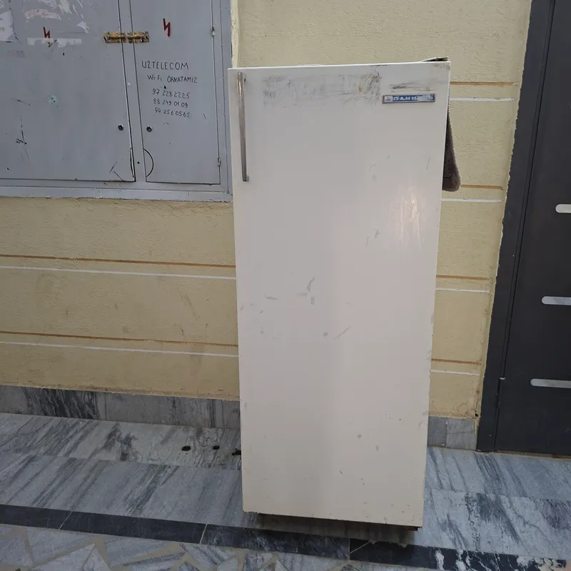 xaladelnik    pamid 5