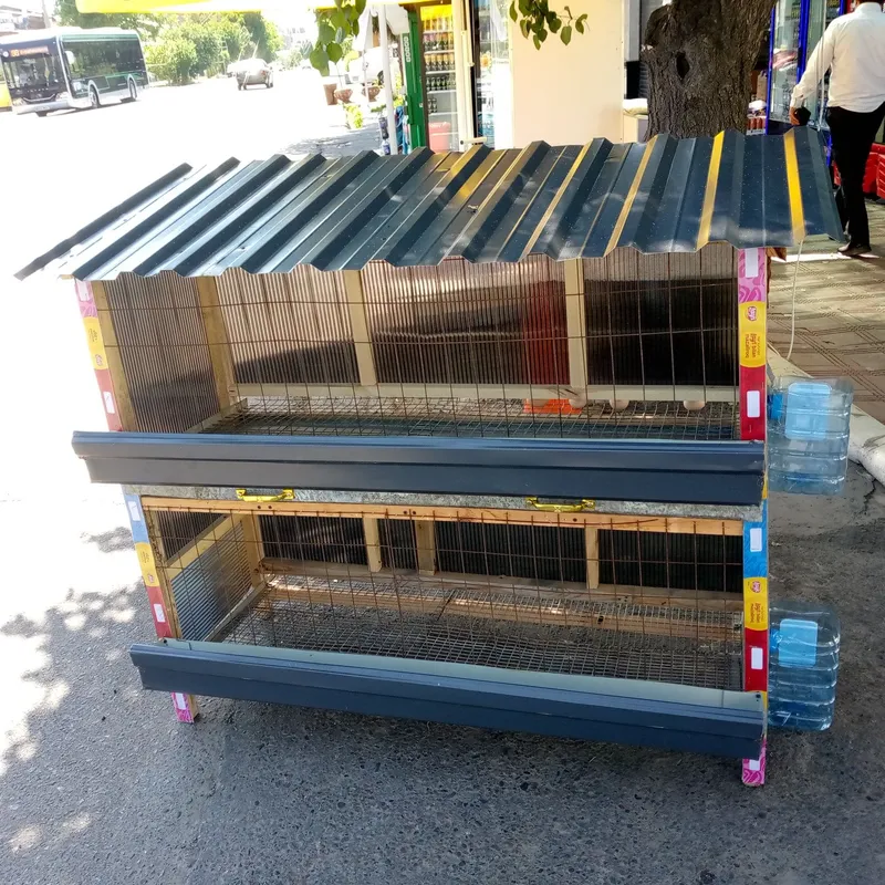 Elitni uylaga Tovuq ini 1 Elitni uylaga Tovuq ini 1
