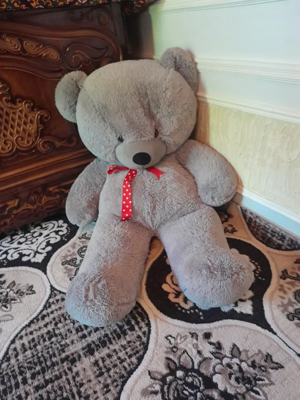 teddy ayiq