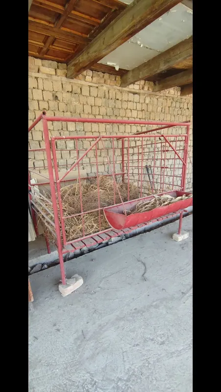 Qo'yxona sotiladi 6 Qo'yxona sotiladi 6