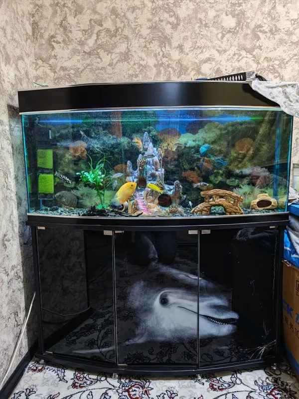 Akvarium 250 litr 2 Akvarium 250 litr 2