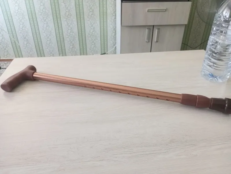 Продается трости,один из слоновой кости,другой из металла — фото 1
