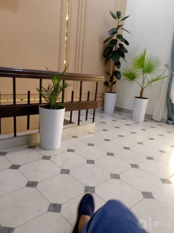 Bez zaks hotel, bez zags mehmonxona, без загс гостиницы, без Закс отел 3 Bez zaks hotel, bez zags mehmonxona, без загс гостиницы, без Закс отел 3