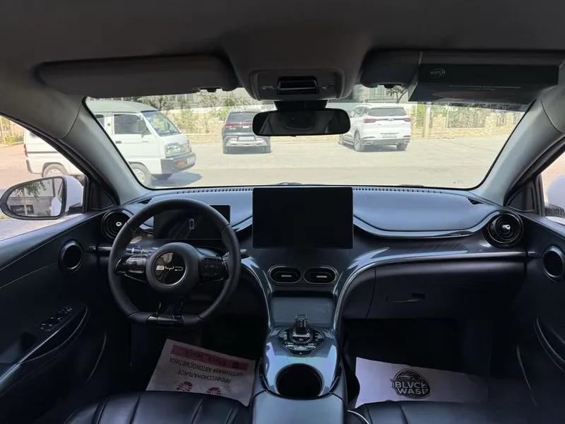 BYD e2, состояние и ходовые качества хорошие, пробег 166 000 км 4 BYD e2, состояние и ходовые качества хорошие, пробег 166 000 км 4