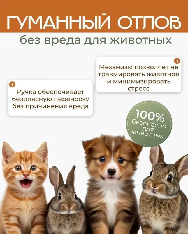 Аренда средней кошколовки — гуманная ловушка для кошек | Ташкент 4