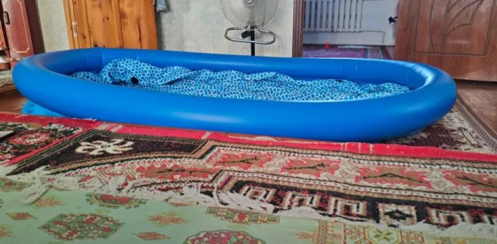 бассейн 2 бассейн 2