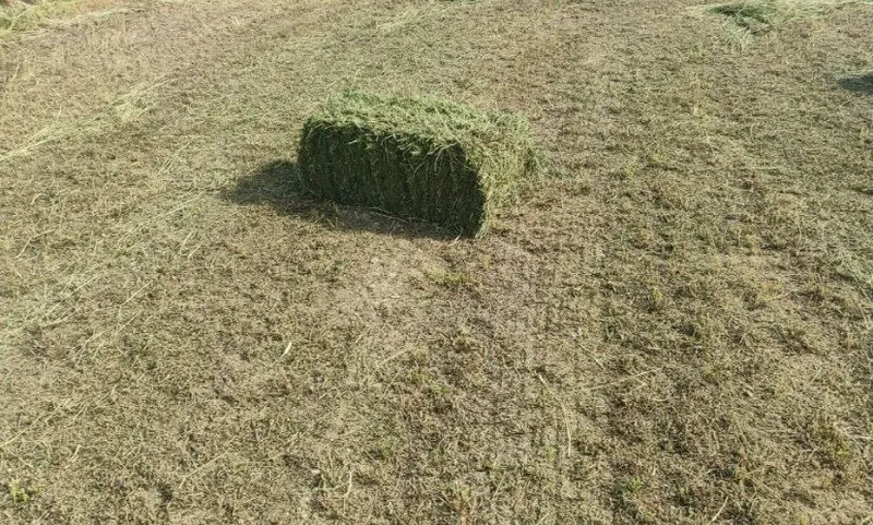 Беда пресс сотилади — фото 2