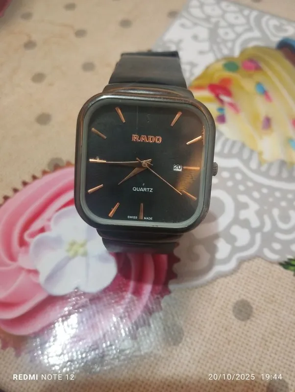RADO_Stainless_pro — фото 4