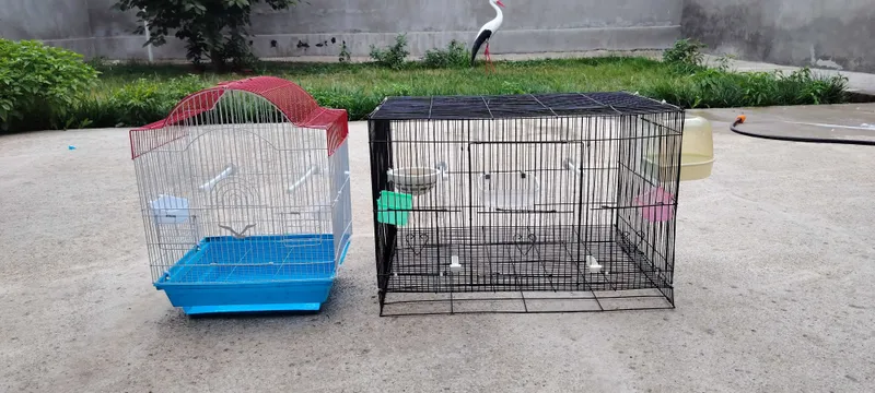 Qafaslar sotiladi 3 Qafaslar sotiladi 3