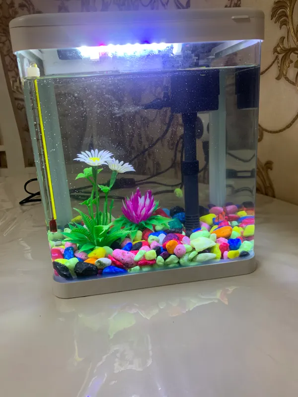 Akvarium 2 Akvarium 2