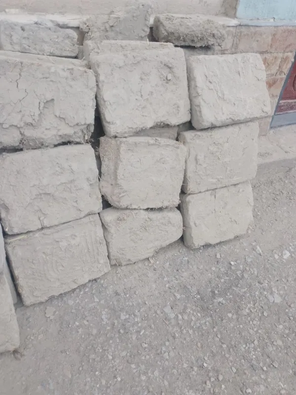 Дев гишт, кирпич большой 1