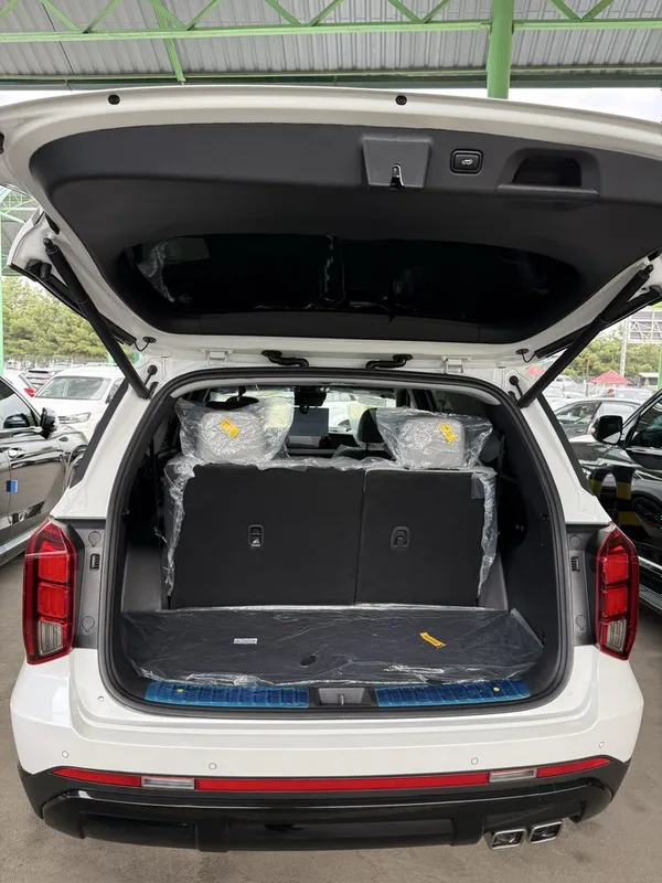 Hyundai Palisade 2023/24 gibirid — фото 2