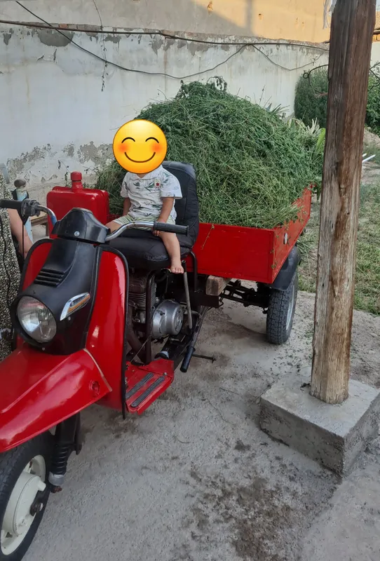 муравей сотилади дакументи бор 2