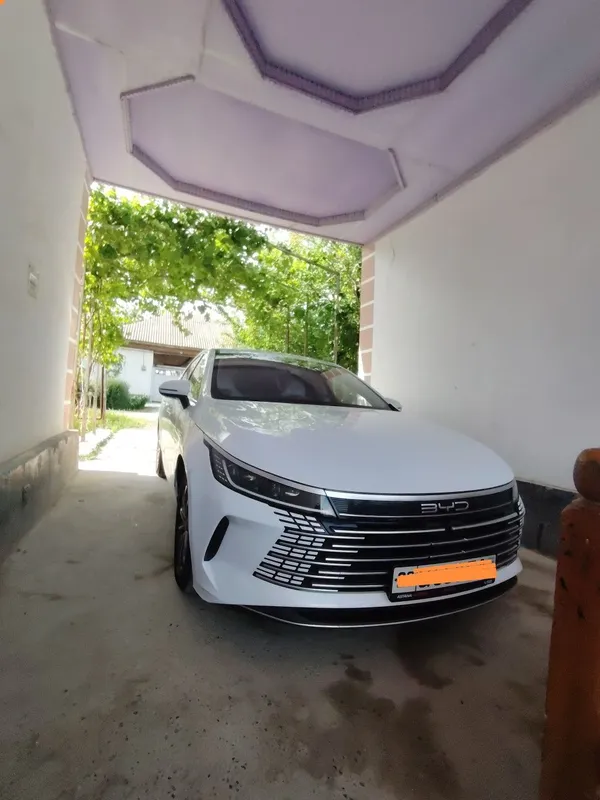 Byd chazor 55 kmlgi 2024