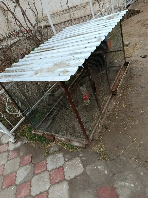 Parrandalar uchun katak 1