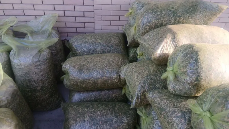 Slos sotiladi cheklanmagan 2 Slos sotiladi cheklanmagan 2