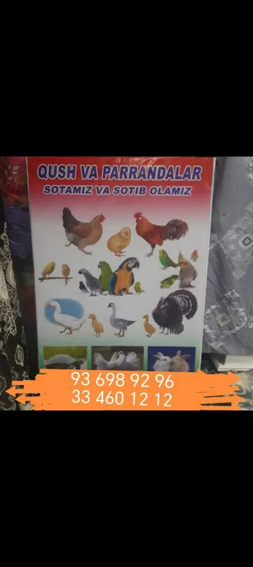 Qush va parandalar
