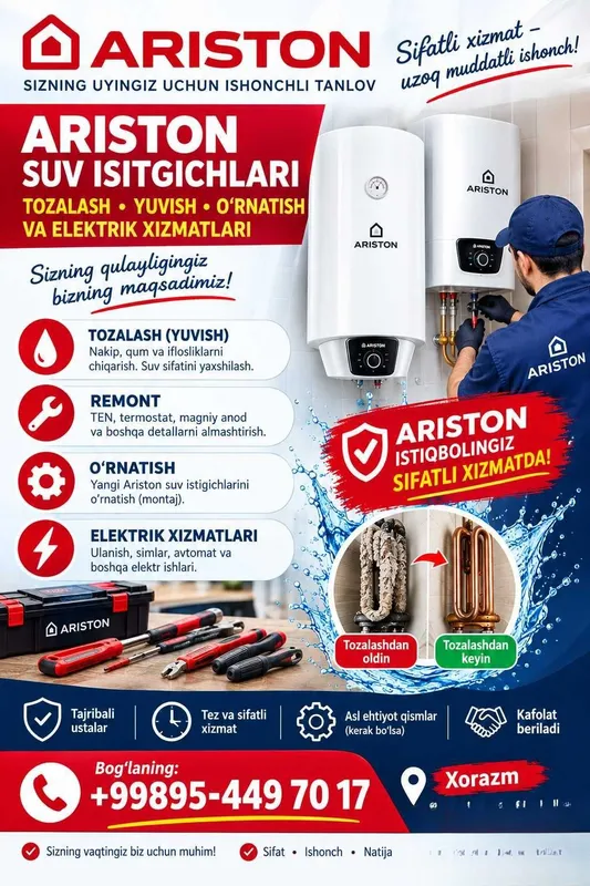 Чистка, мойка и ремонт Ariston Чистка, мойка и ремонт Ariston