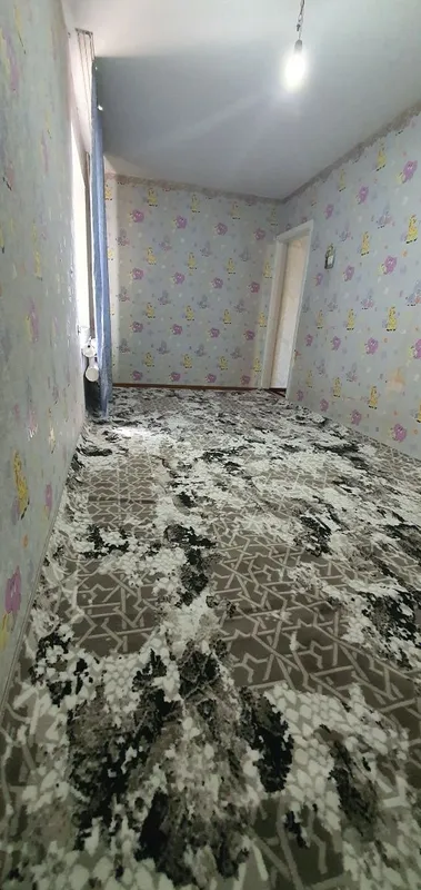 3 хонали хонадон 2 3 хонали хонадон 2