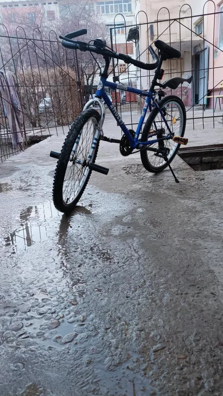 Sport Velosipedi