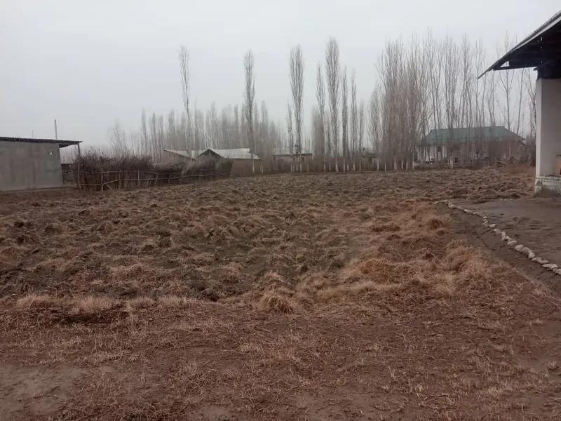 20 sotix yer uchaska sotiladi