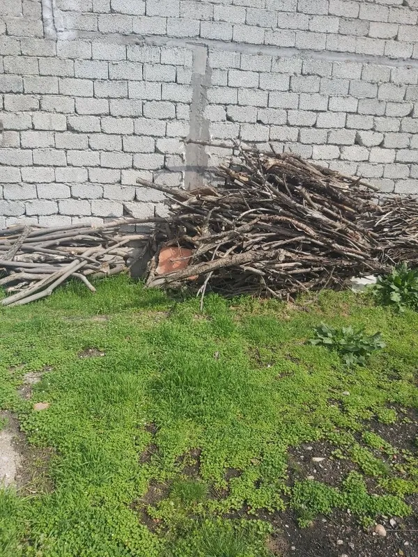 Дрова на топку, отын