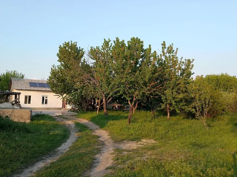 20sotix yer sotiladi