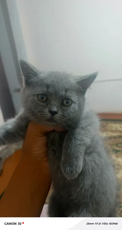 Редми Note 6 Редми Note 6